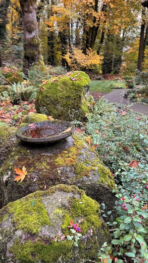 Property grounds -
Cozy Forest Hideaway –no matter the time of year it’s quiet and beautiful. (Oregon City)