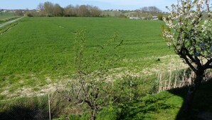 Un extenso campo verde con un árbol en primer plano y una valla en el fondo.