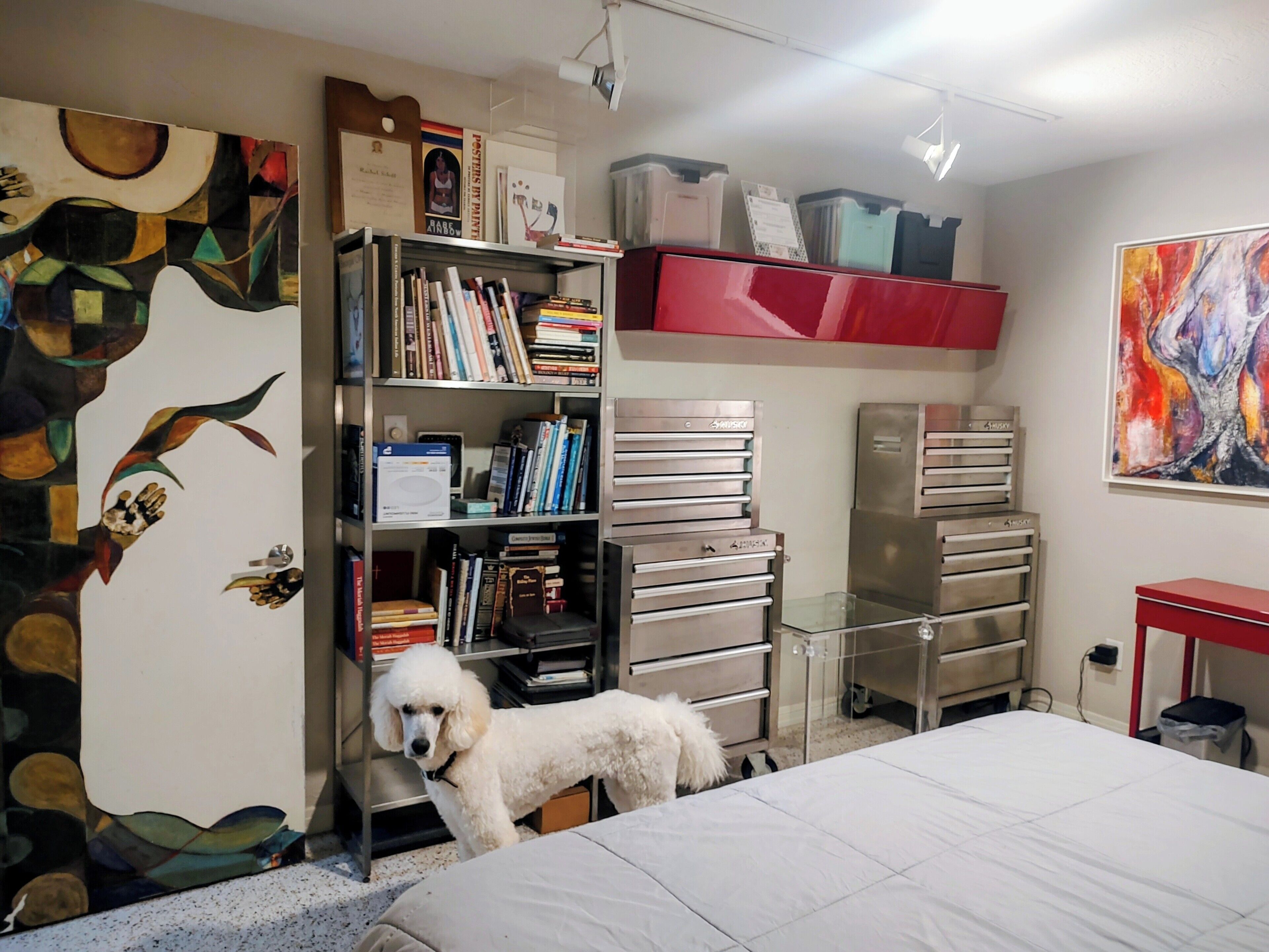Una habitación con una cama, una estantería, un perro y varios espacios de almacenamiento.