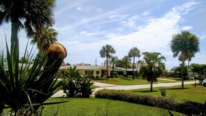A residential area with a house, palm trees, and a well-maintained lawn.