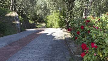 Parco della struttura