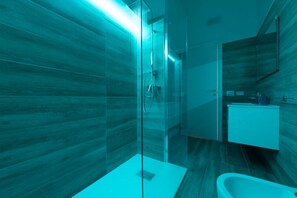 Shower, hair dryer, bidet, towels