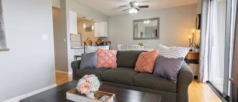 Tv, eldstad och dvd-spelare