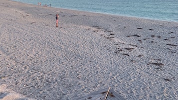 Plage à proximité, chaise longue, serviettes de plage