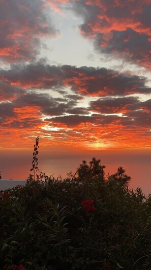 Photo non classée, 4 sur 12, bouton