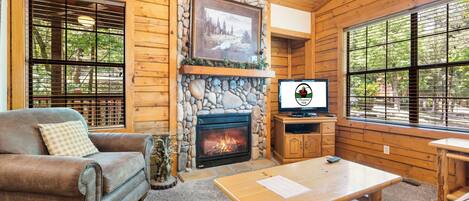 TV connectée, cheminée, lecteur de DVD