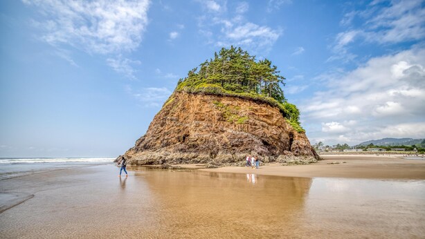 Unclassified image, 1 of 37, button - Valhalla Vista (Neskowin)