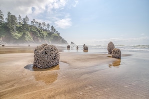 Beach - Valhalla Vista (Neskowin)