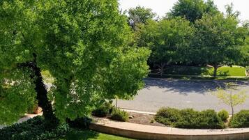 华丽双人房 | 花园景观