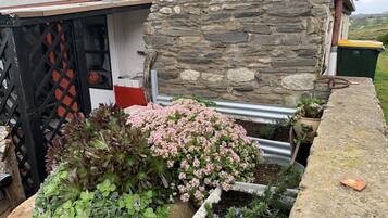 DĂ©tail de lâextĂ©rieur