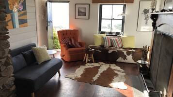 TV, fireplace, DVD player, books