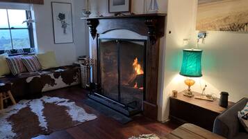 電視、壁爐、DVD 播放機、書籍