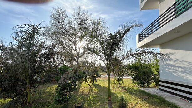 Un patio con un sendero empedrado, una palmera y un edificio con balcón.