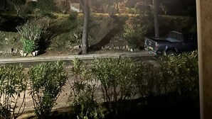 Una casa moderna con interior bien iluminado, rodeada de árboles y un vehículo estacionado.
