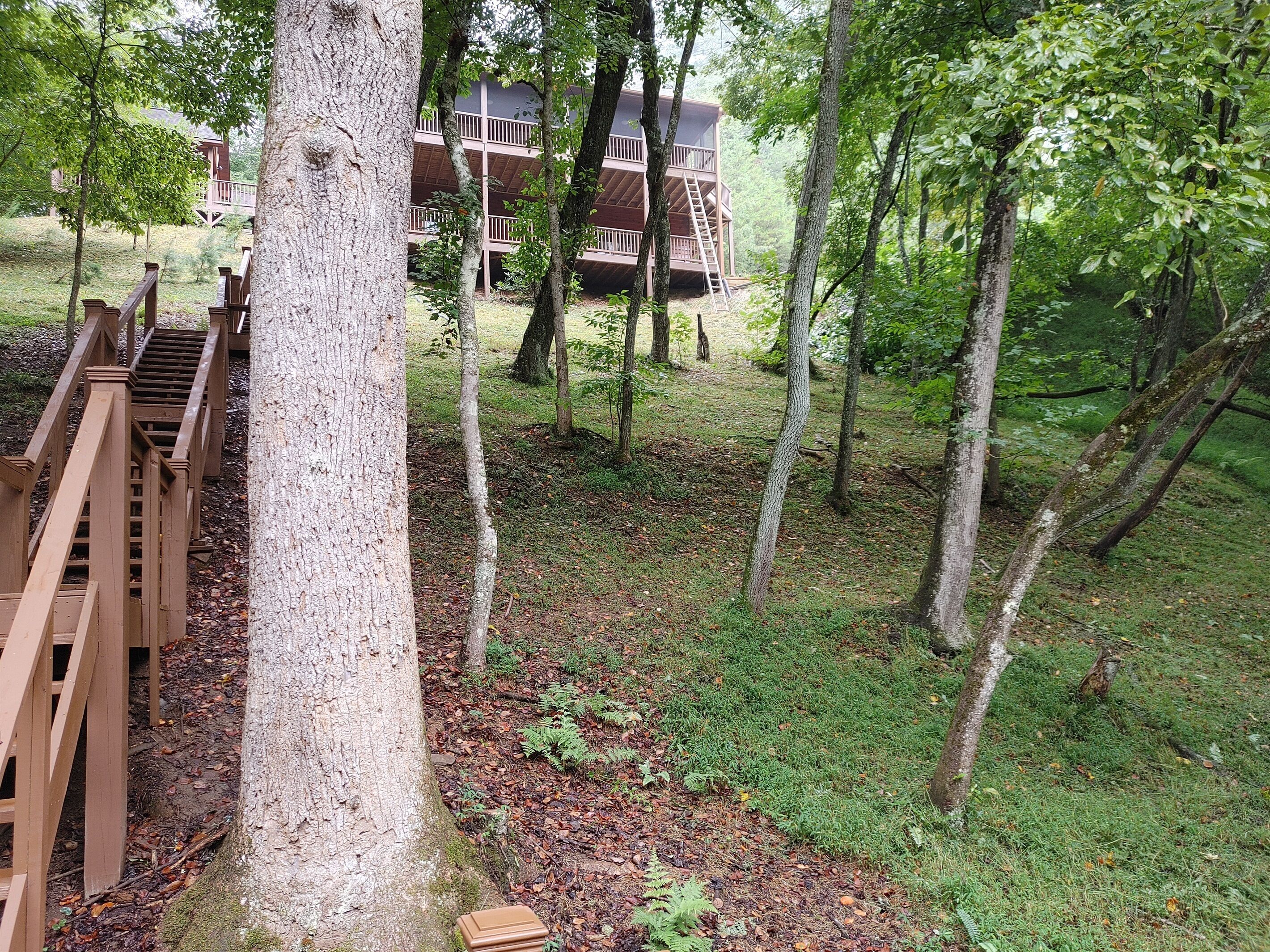 A wooden deck leading to a building surrounded by trees.