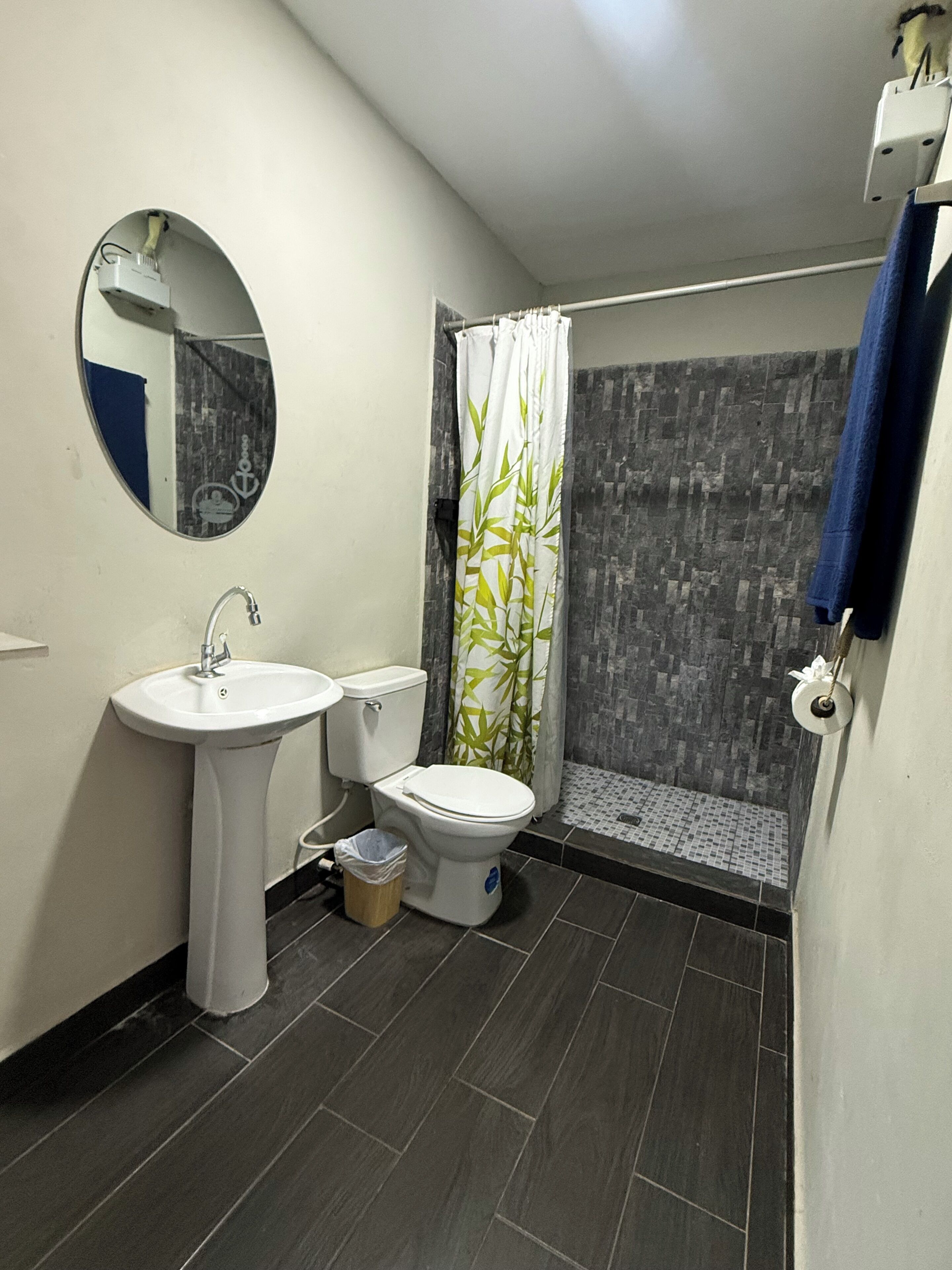 Baño con lavamanos, inodoro y ducha.