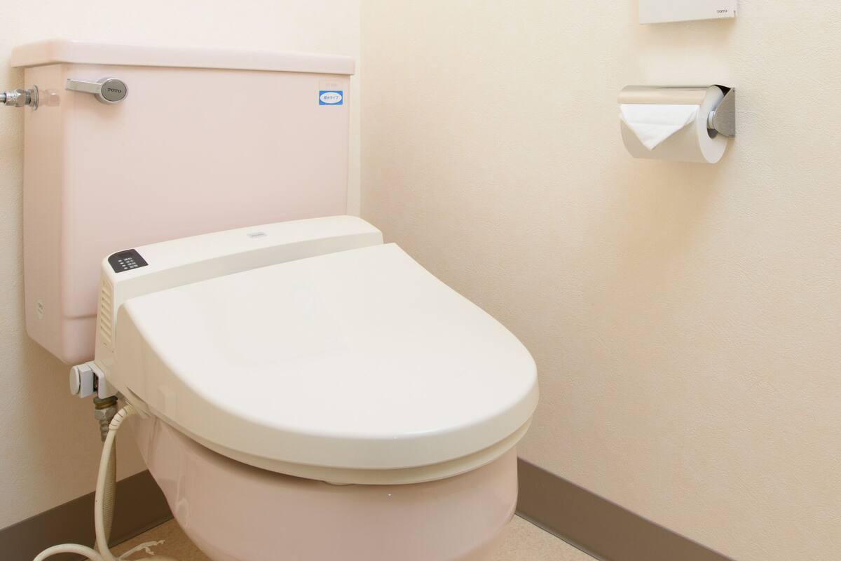 combined shower/bathtub, free toiletries, hair dryer, slippers