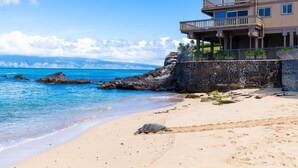Une propriété située en bord de mer, avec une côte rocheuse, une plage de sable et une grande tortue sur le sable.