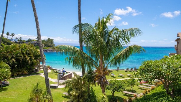 Un complexe hôtelier tropical offrant une vue dégagée sur l’océan, des palmiers et une pelouse bien entretenue agrémentée de chaises longues.