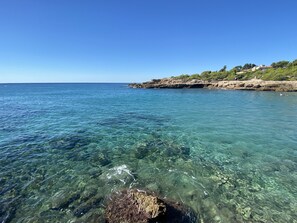 Plage à proximité