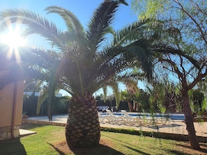 Terrace/patio - Nerea close to the beach ideal for families (Ametlla de Mar)