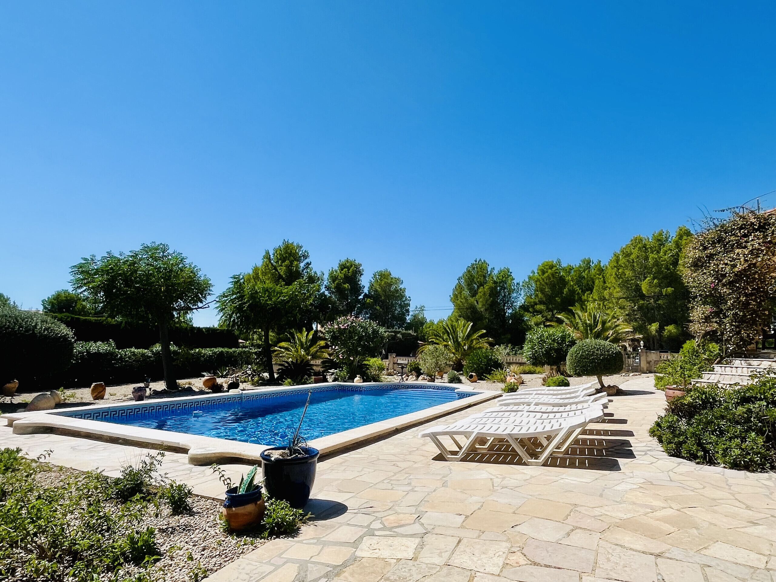 Una piscina con borde de baldosas, rodeada de macetas con plantas y árboles.