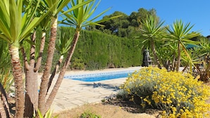 A pool area with palm trees and yellow flowers. - Mila 3 bedrooms, air-con, free wifi (Ametlla de Mar)