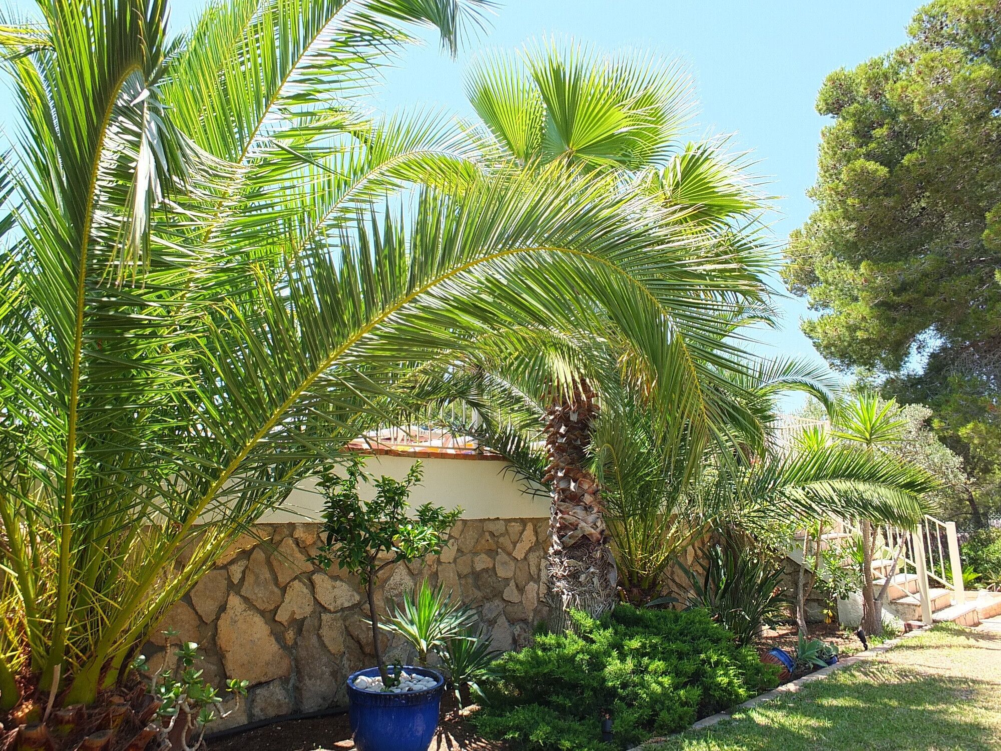 Terrein van de accommodatie