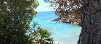 Melaza well equipped pretty ideal for families