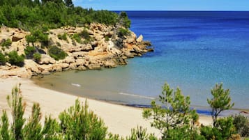 Playa en los alrededores