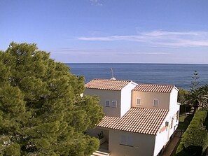 Eksteriør