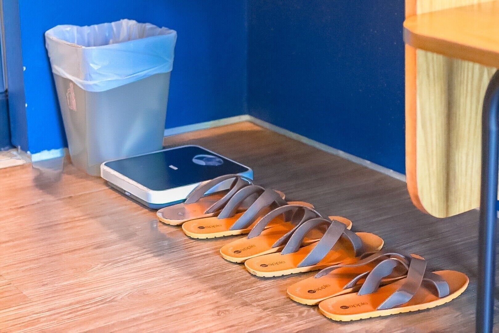 A pair of sandals, a smartphone, and a trash bin in a room with wooden flooring and blue walls.