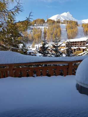 Property grounds - Individual chalet Resort center (La Foux d'Allos)
