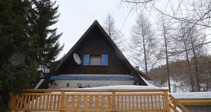 Chalet individuel Centre Station