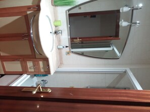 Combined shower/bathtub, hair dryer, bidet, towels