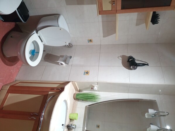 Combined shower/bathtub, hair dryer, bidet, towels