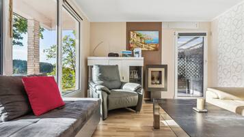 TV, fireplace, music library, stereo