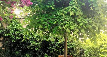 KLASSIK Design-Luxus-Apartment, Boxspringbett, fast WLAN, Garten, beste Lage