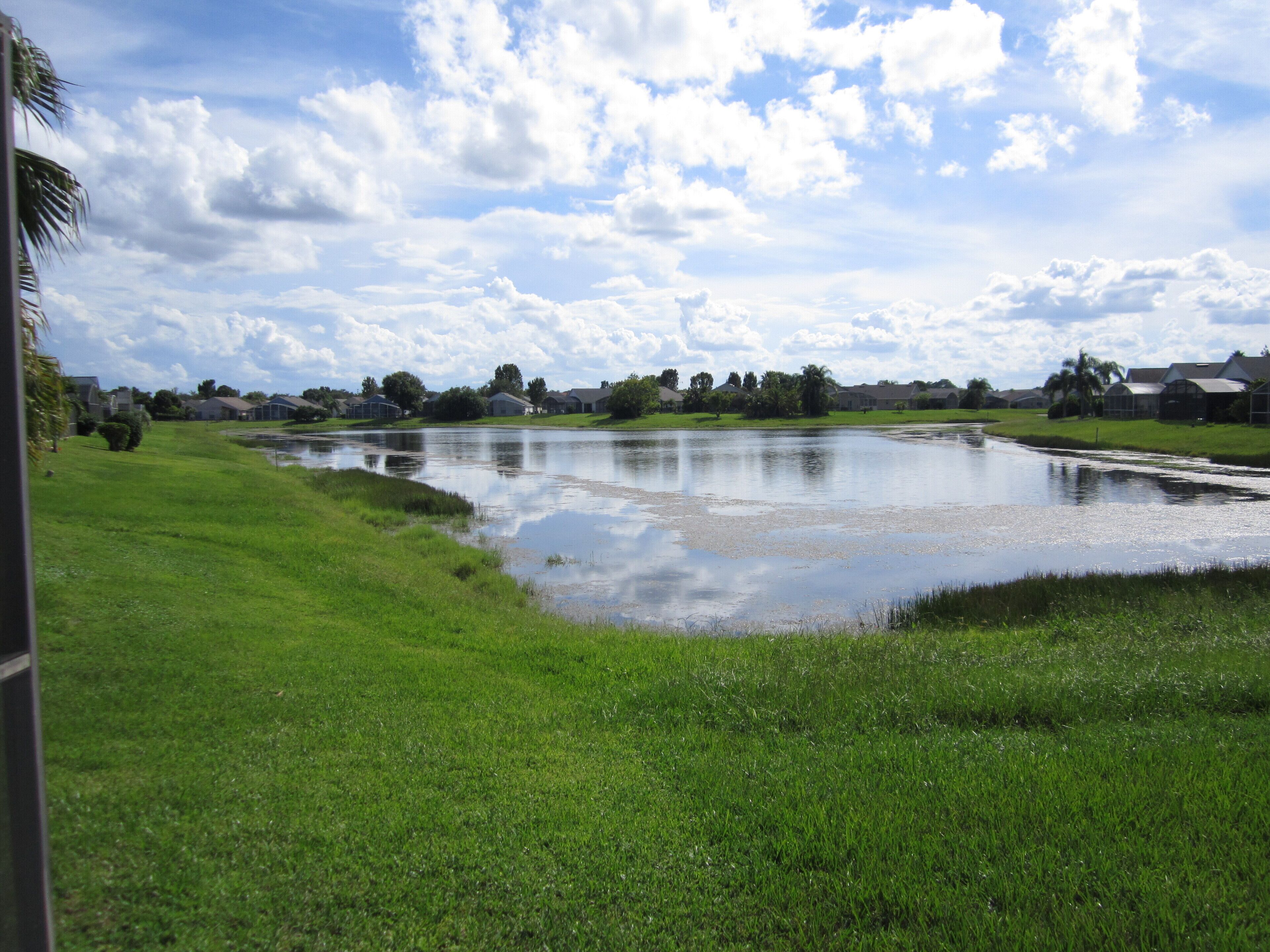 A grassy area with a pond and houses in the background.