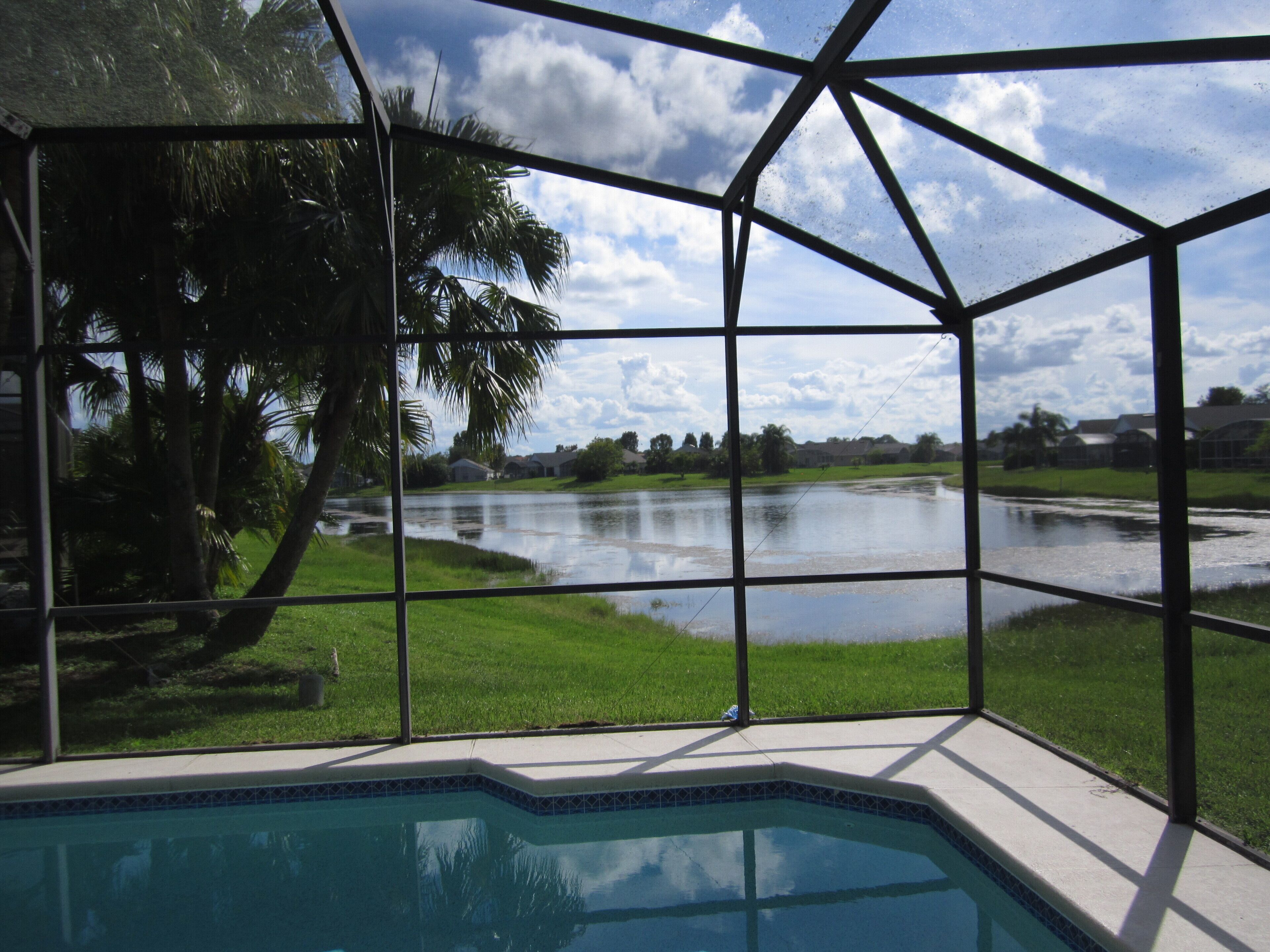 Una piscina con vistas a un lago y palmeras.