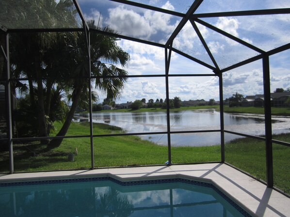 A pool with a view of a lake and palm trees.