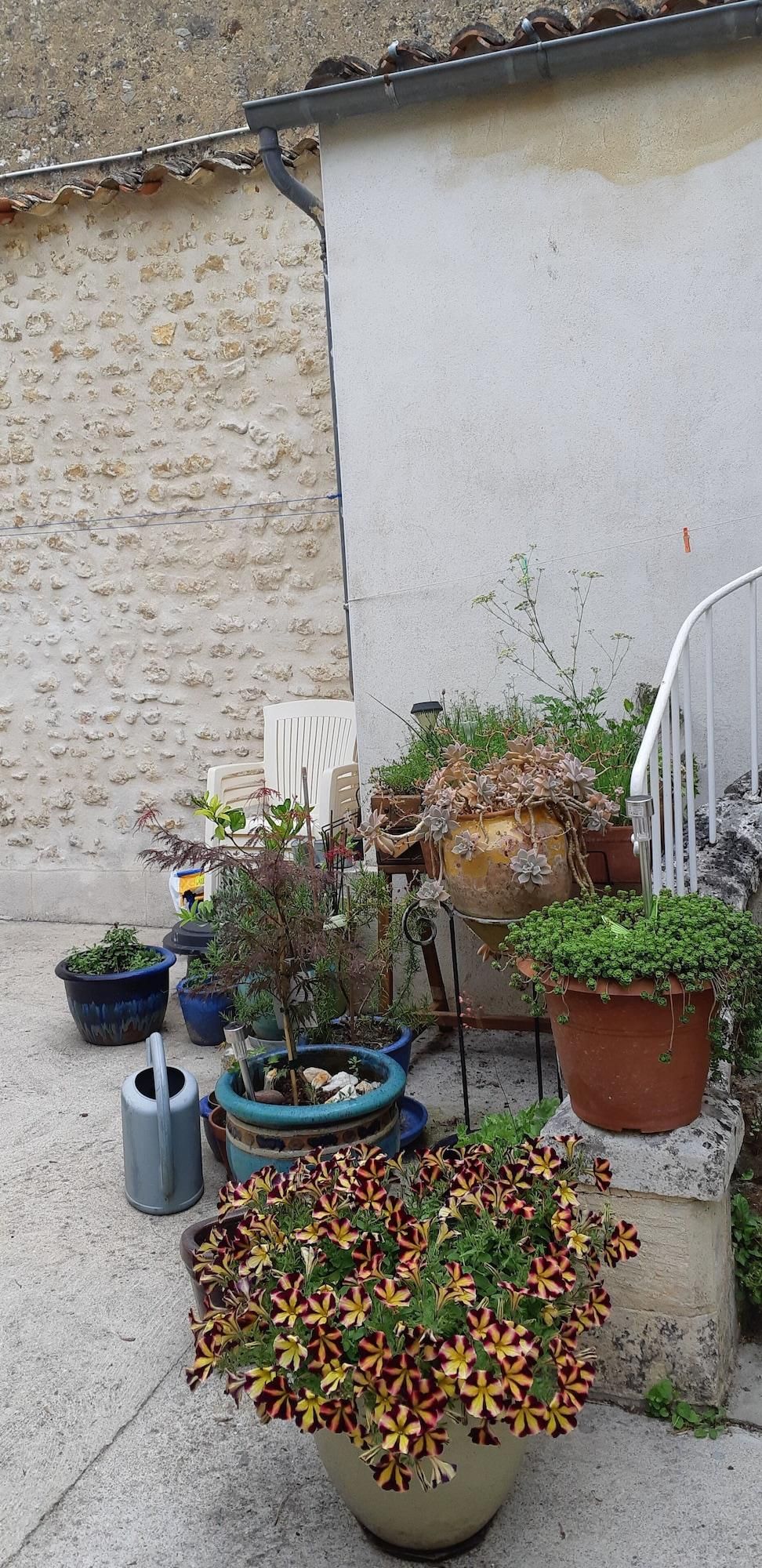 A garden with various potted plants and flowers, a metal watering can, and a white chair.