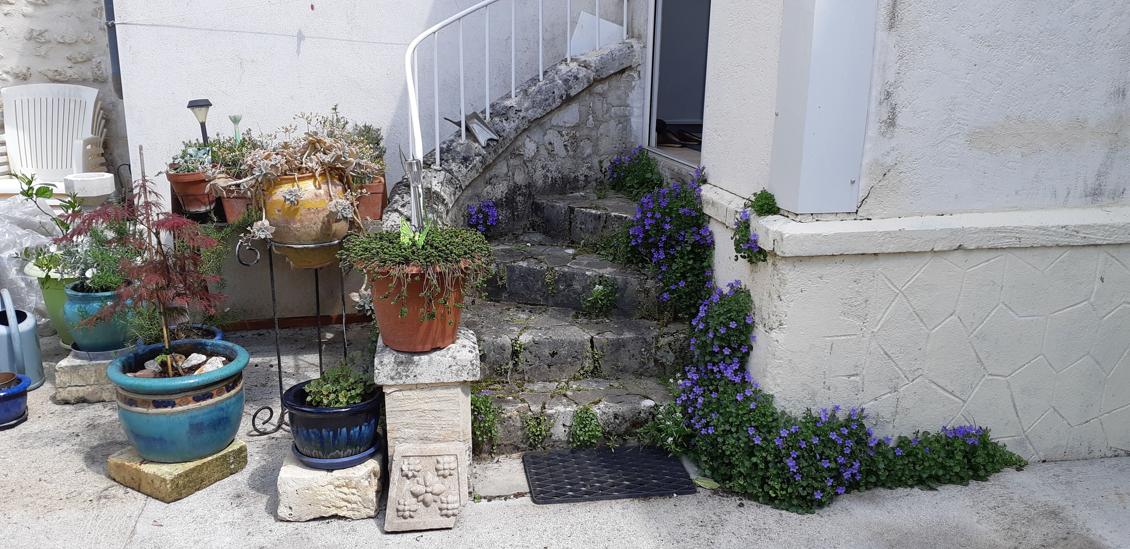 Ingang accommodatie