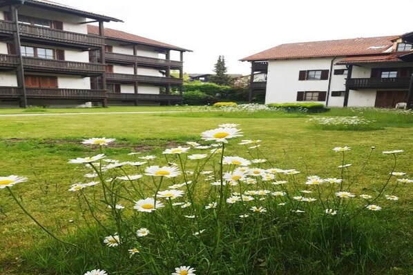 Property grounds - Ferienapartment Bayerischer Wald 3 (Zwiesel)