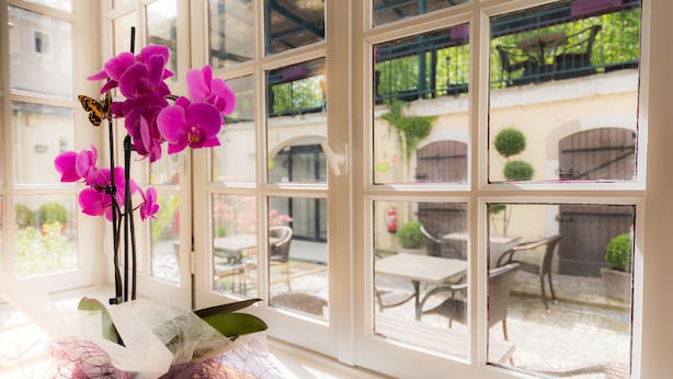 Una ventana con varios cristales, una orquídea en maceta y una mariposa.