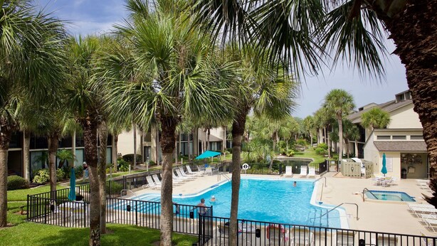 Una piscina circondata da palme e sedie a sdraio, con un edificio sullo sfondo.