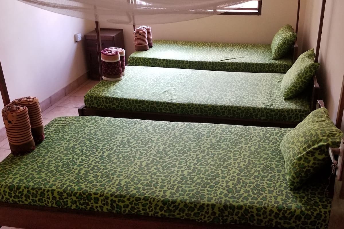 Classic Triple Room | Desk, WiFi (free), individually decorated, individually furnished