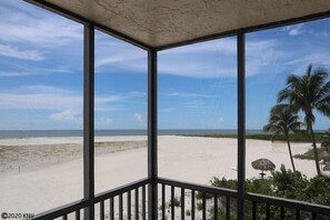 Une vue sur la plage depuis un espace abrité, doté d’une balustrade, de palmiers et surplombant un ciel dégagé.