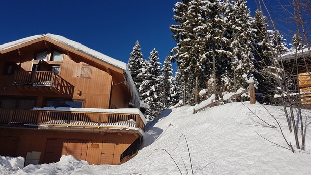 A wooden cabin with a balcony, surrounded by snow-covered trees and a clear blue sky. - SLOPESIDE CHALET (DOUCY VALMOREL)