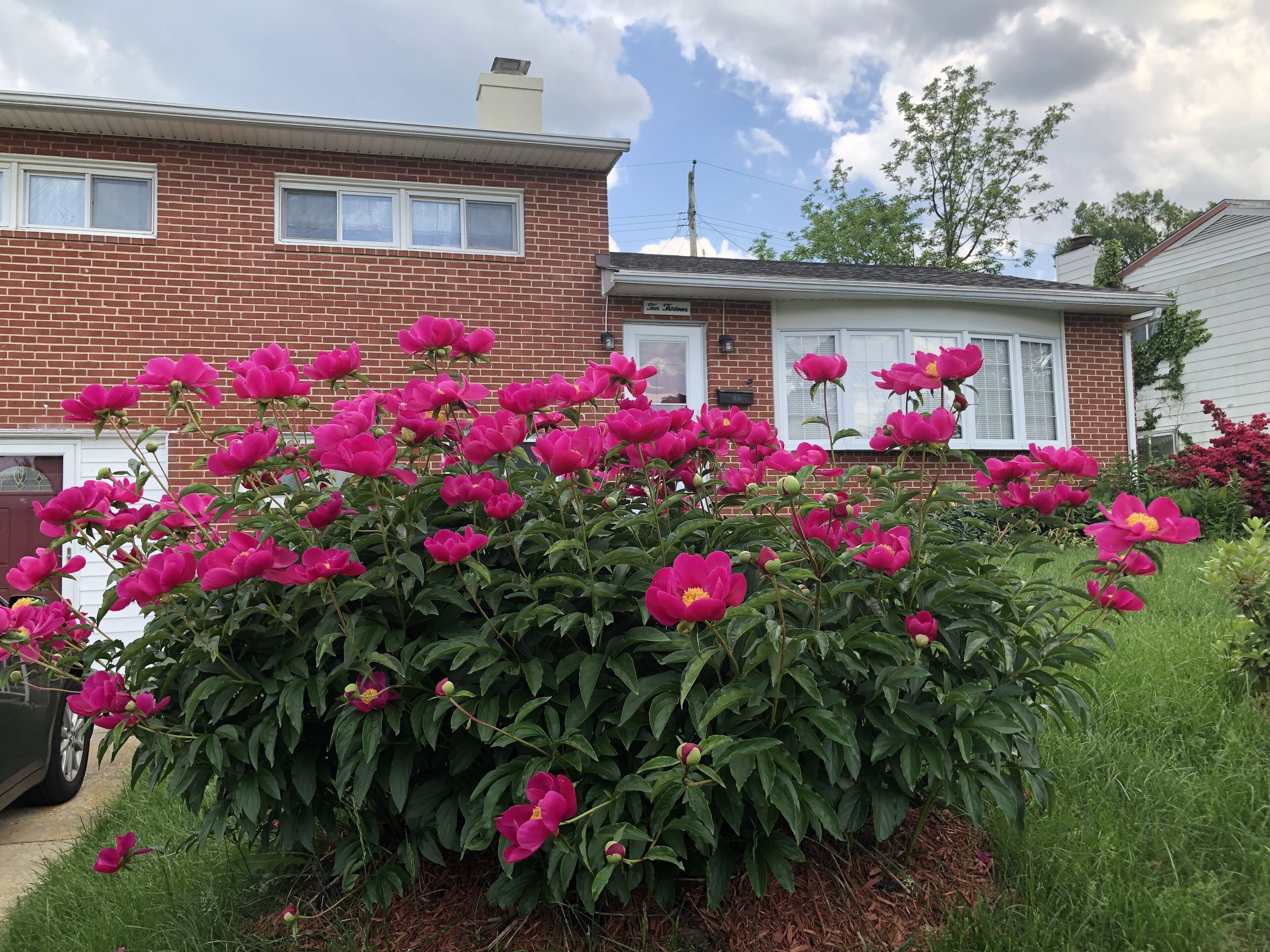 20% discount-Baltimore& DC Metro area